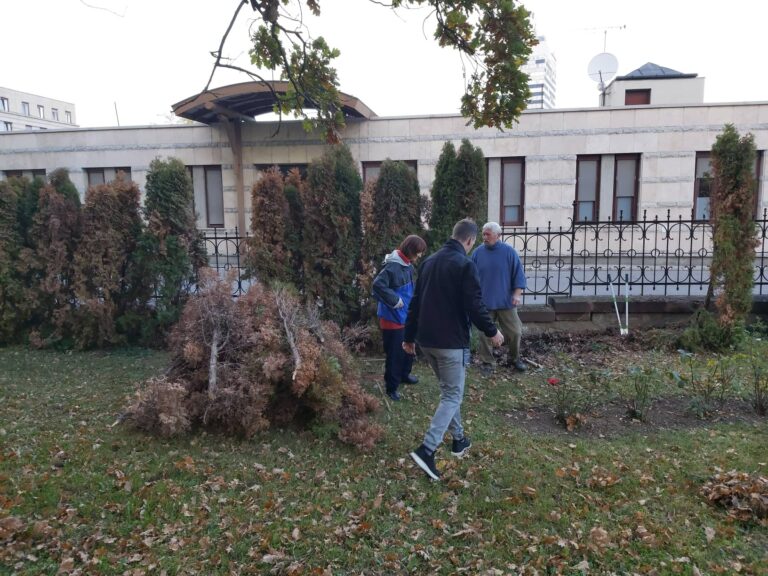 KÖZÖSSÉGI NAGYTAKARÍTÁS ÉS KERTRENDEZÉS – BESZÁMOLÓ